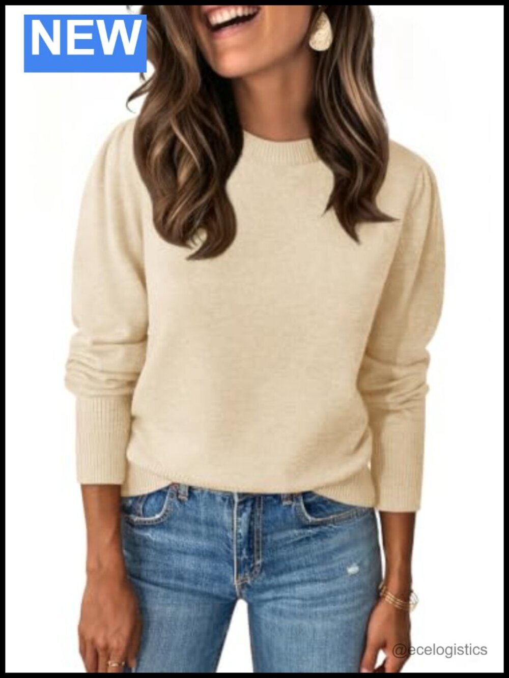 Women's Classic Crew Neck Long Sleeve Knit Sweater Pullover